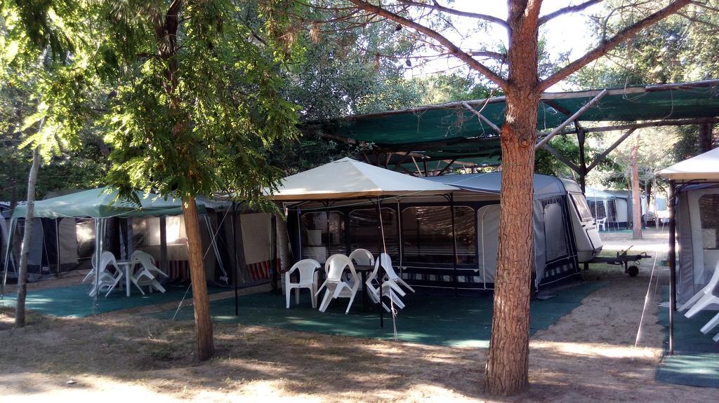 Camping Pitsoni Sykia Chalkidikis Esterno foto
